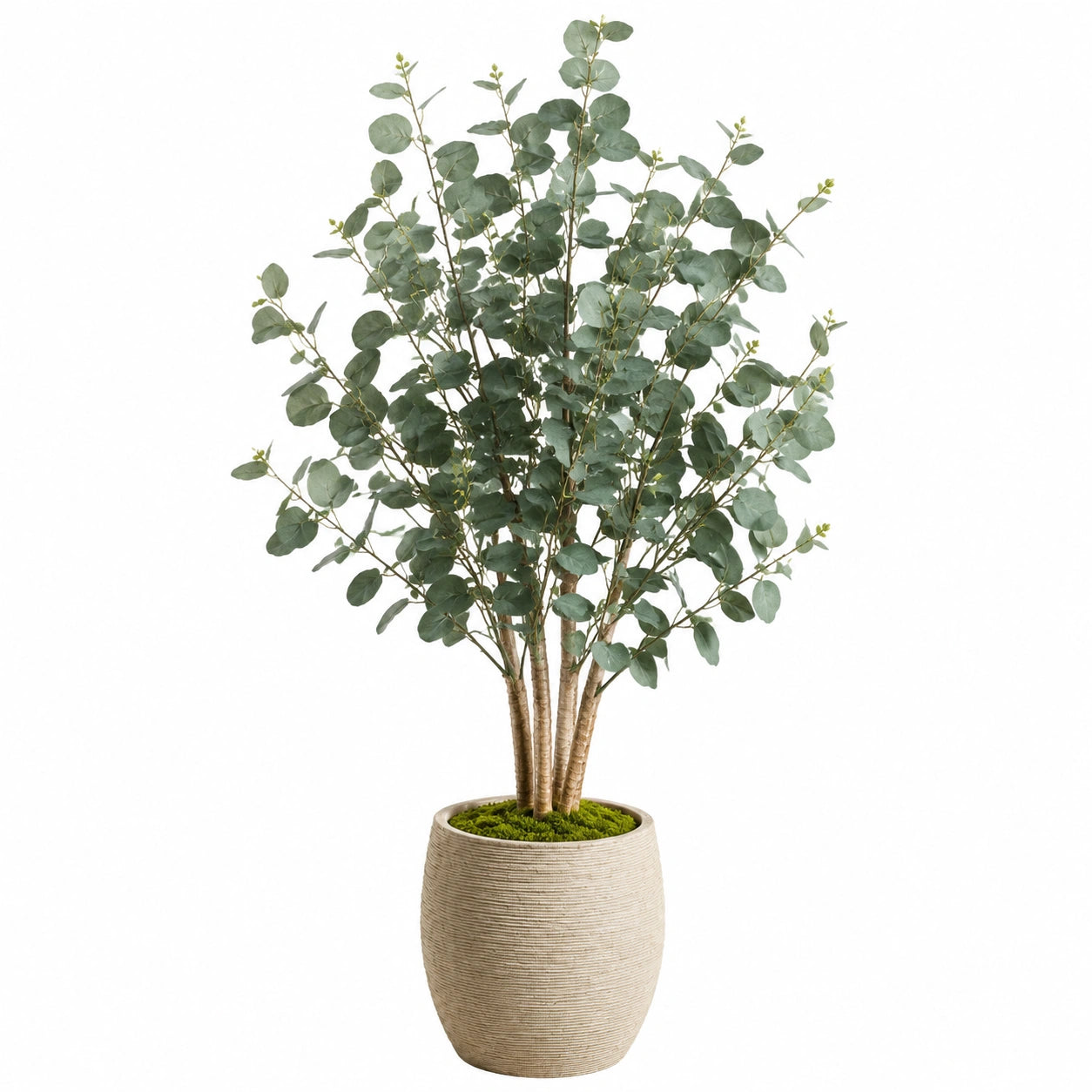 Pianta artificiale di eucalipto 180 cm con vaso in cemento beige per interni