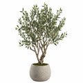 Albero di ulivo artificiale 180 cm con vaso in cemento grigio per interni