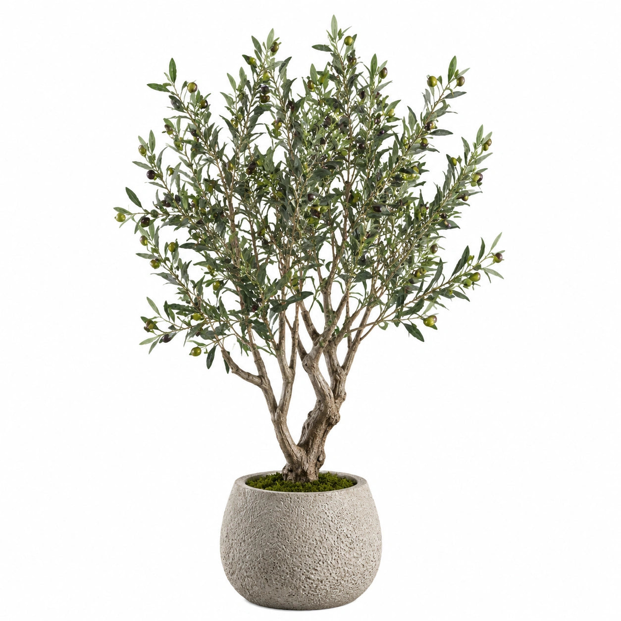Albero di ulivo artificiale 180 cm con vaso in cemento grigio per interni