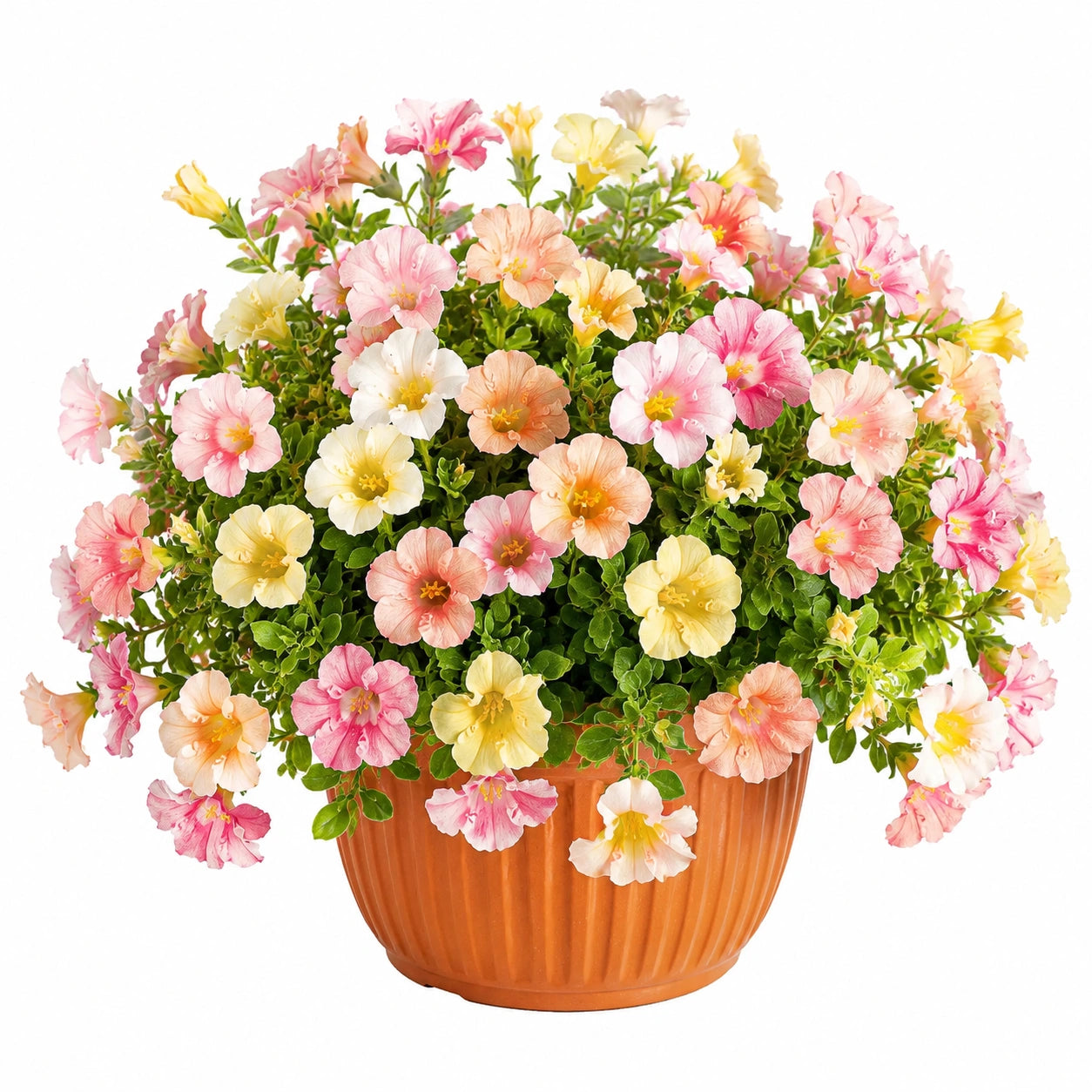 Pianta artificiale in vaso 45 cm con fiori multicolore e fogliame verde per interni ed esterni