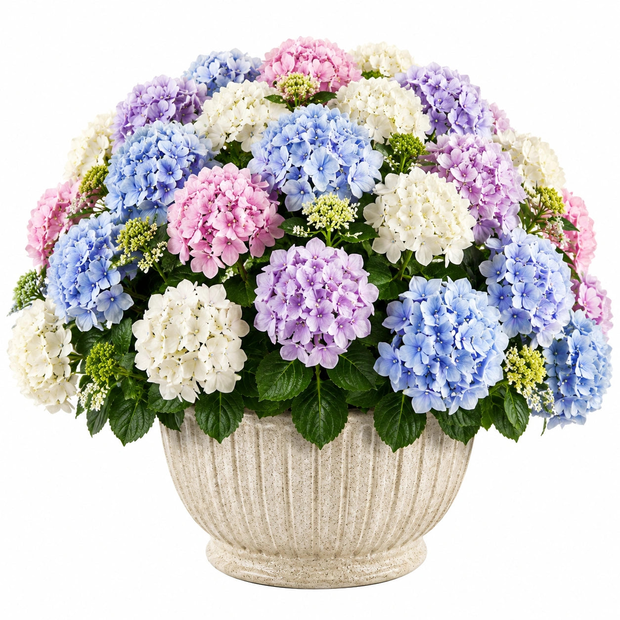 Pianta artificiale in vaso 65 cm con ortensie in tessuto multicolore per interni stile classico
