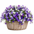 Pianta fiorita artificiale 30 cm con cestino in vimini viola bianco decorativa