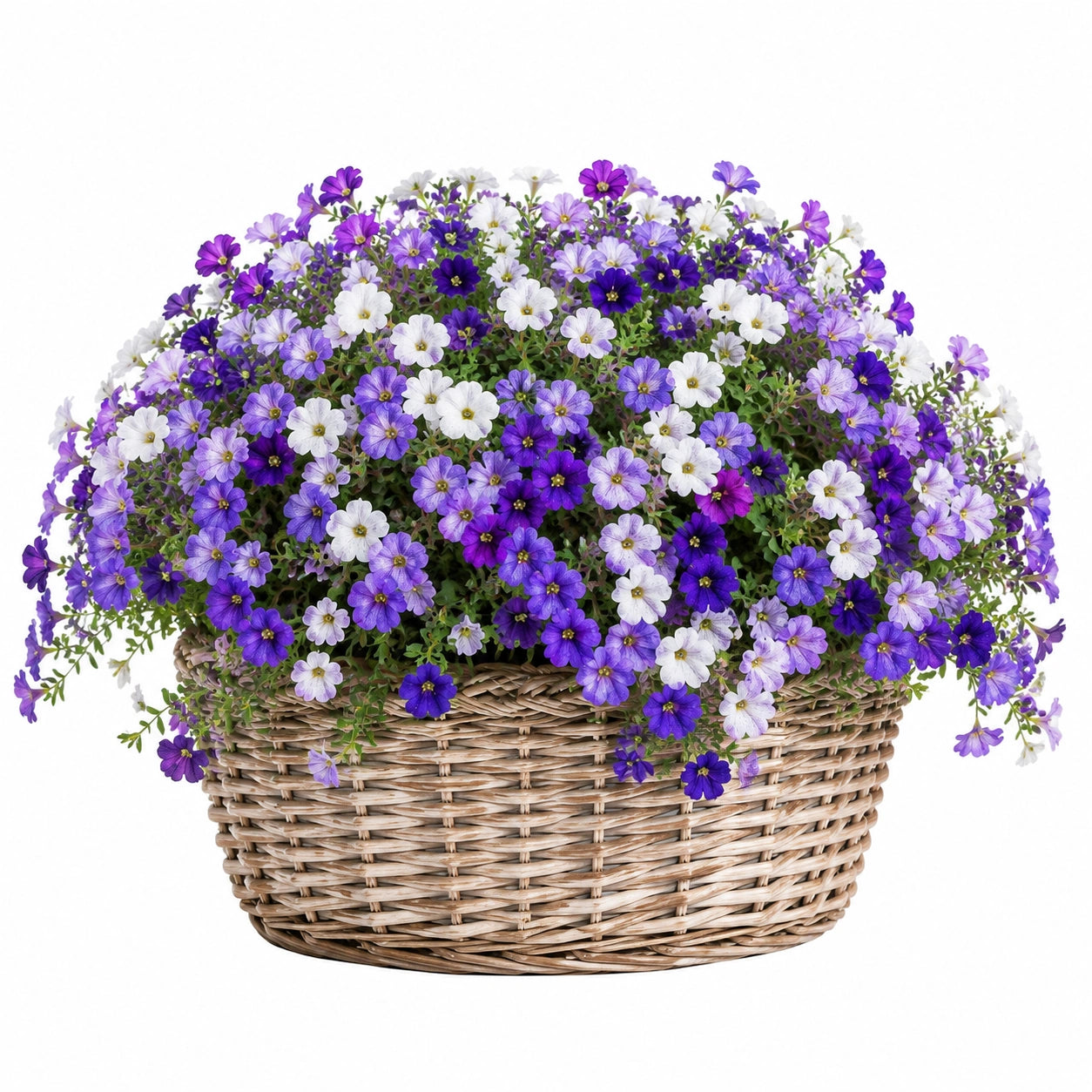 Pianta fiorita artificiale 30 cm con cestino in vimini viola bianco decorativa
