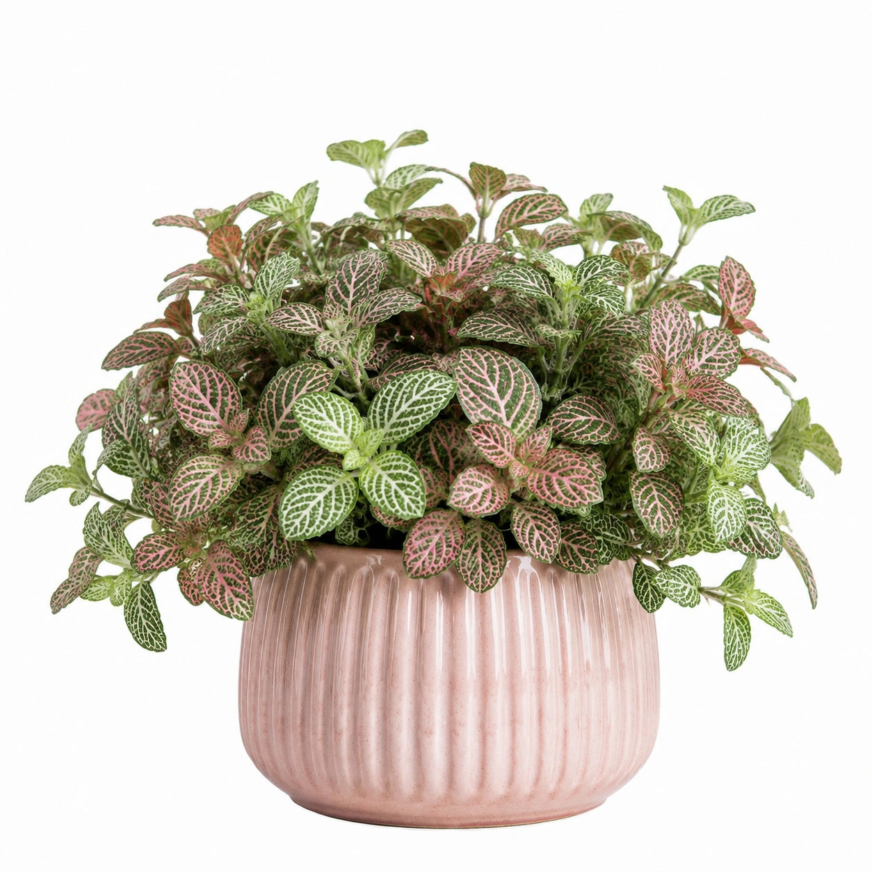Pianta artificiale in vaso 30 cm con foglie verdi e rosa per interni