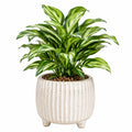 Pianta verde artificiale in vaso 70 cm foglie variegate verdi vaso in ceramica per interni