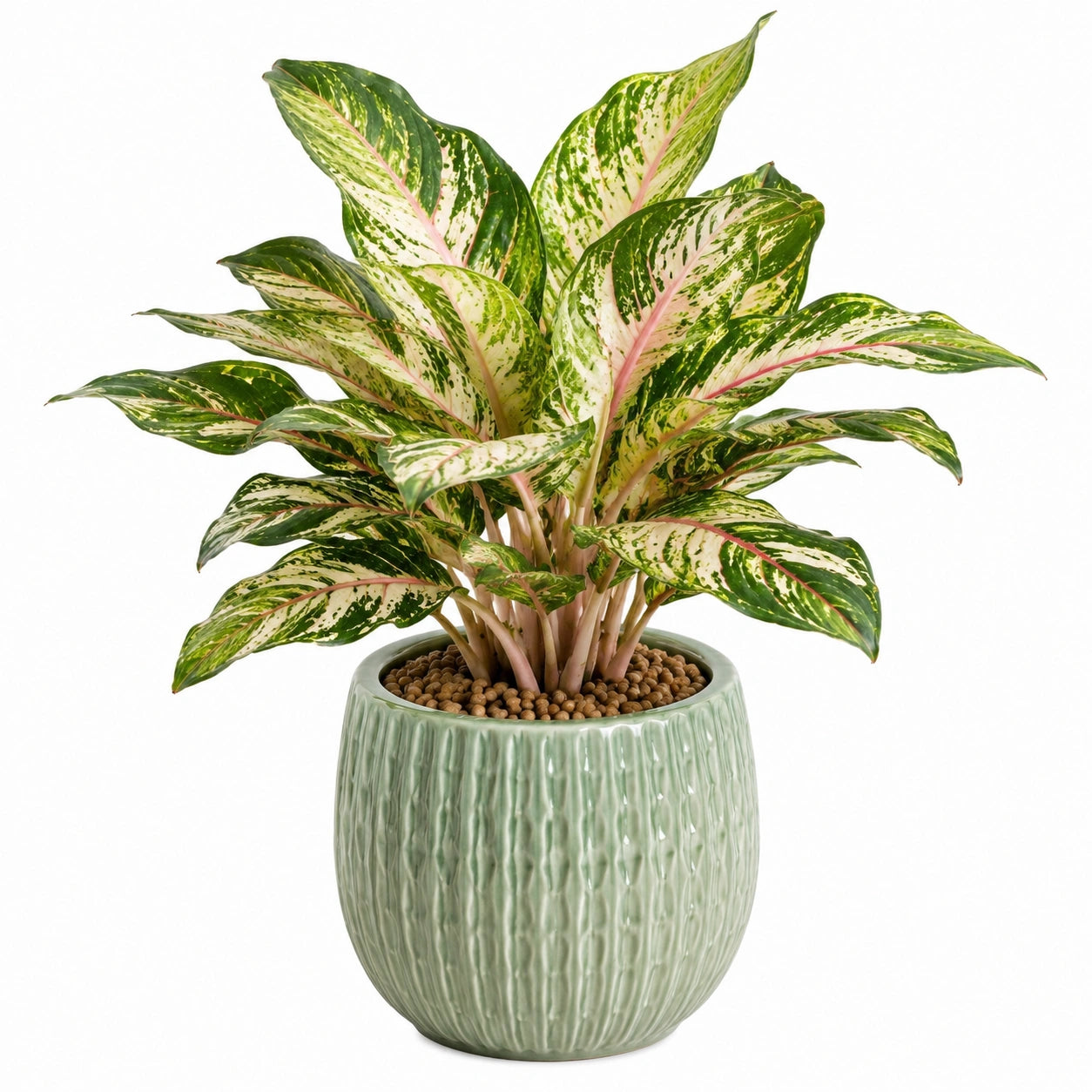 Pianta verde artificiale 65 cm in materiale sintetico verde crema e rosa con vaso in ceramica per interni